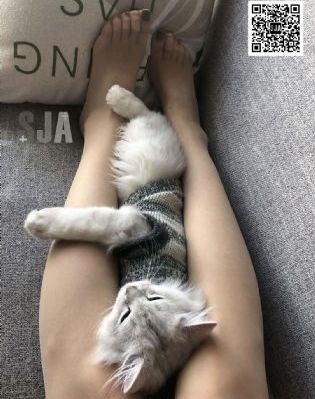 亚洲春色校园小说网_剧情片在线播放